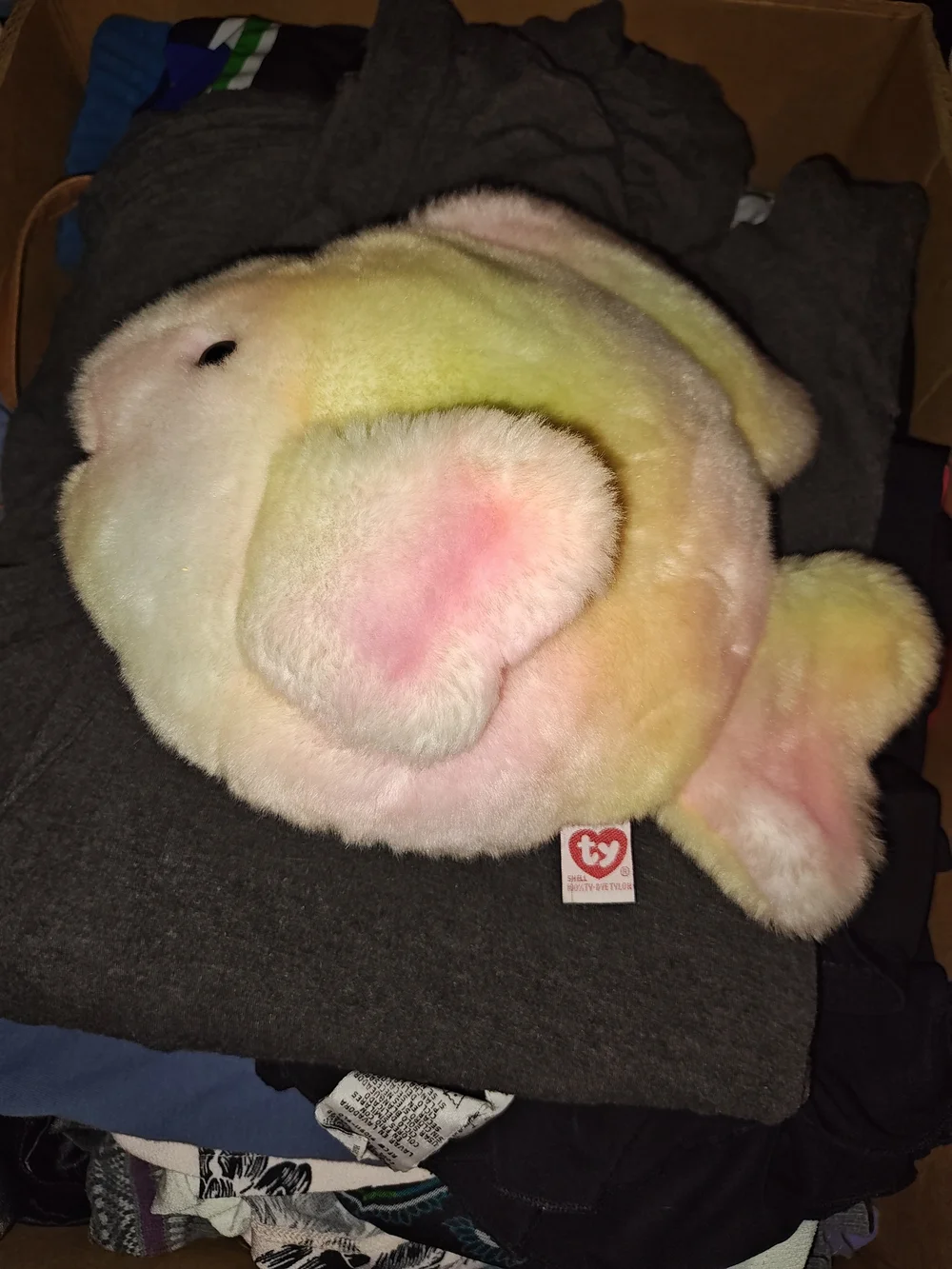 Ty Pastel Multicolor Plush Fish - Pink, Yellow, Cream